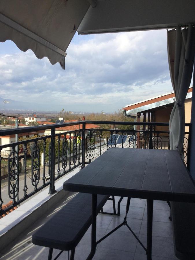 Mario's House Homestay