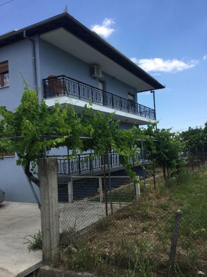 Mario's House * Vergina